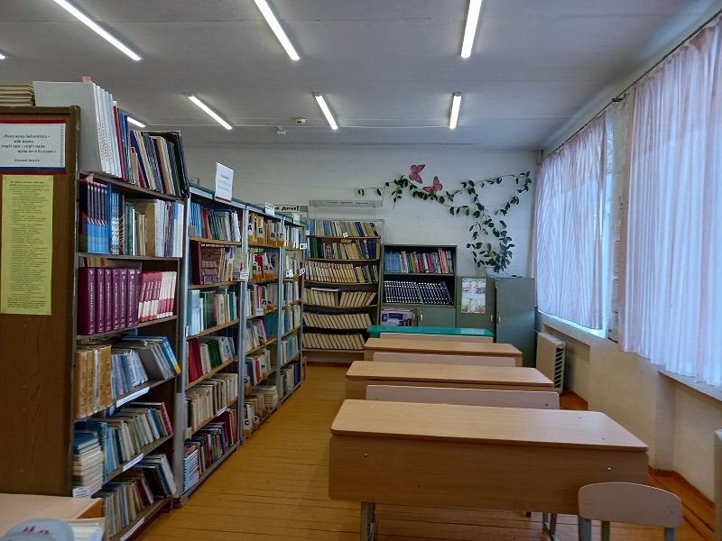 Школьная библиотека.